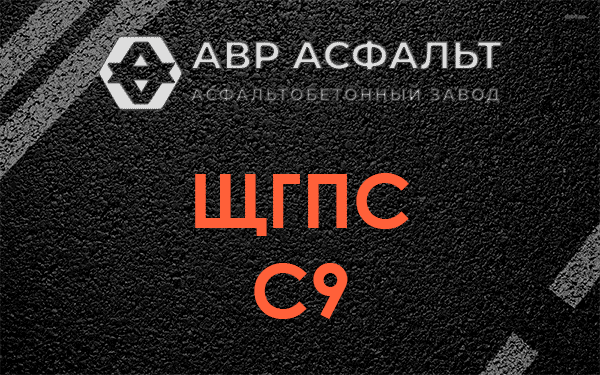 ЩГПС С9 в Мшинской